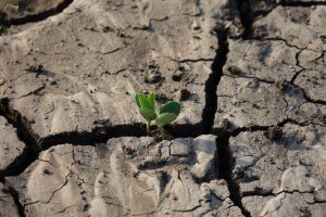 Overcome Water Challenges with Fracta, Our ML Leak Prediction Tech