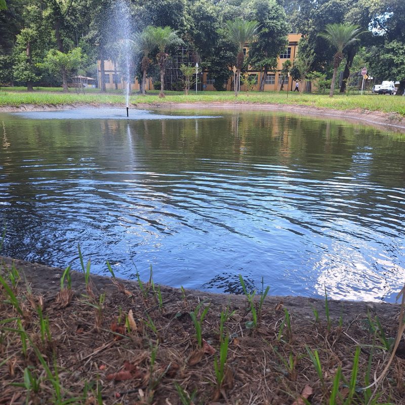 20250219_131300_Ismael Bruno de OLIV