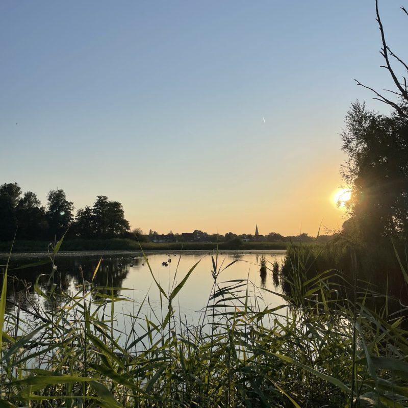 Image_Daniela Reusner