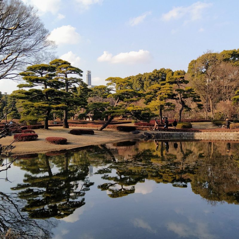 MicrosoftTeams-image (13)_Argyro Spinthaki