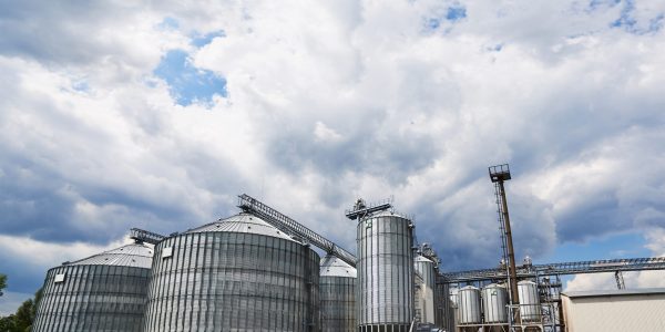 Agricultural Silos. Building Exterior. Storage and drying of grains, wheat, corn, soy, sunflower against the blue sky with white clouds.